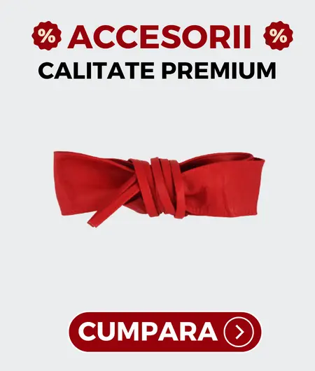 Accesorii